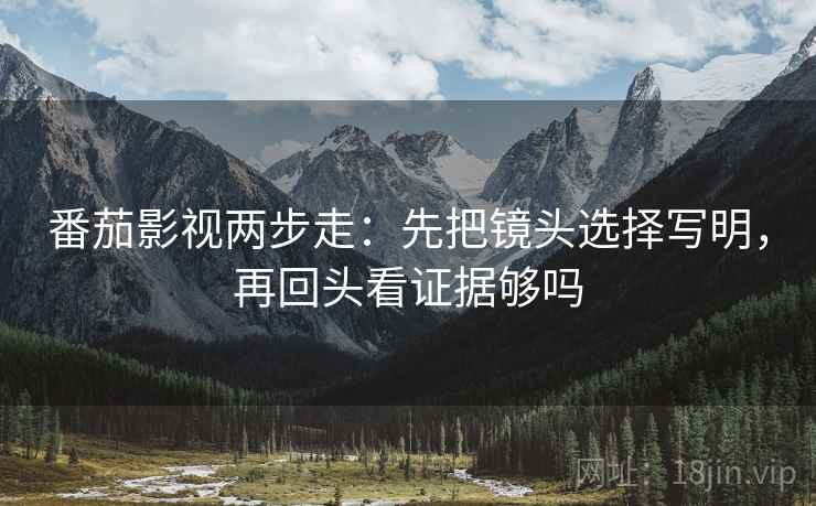 番茄影视两步走：先把镜头选择写明，再回头看证据够吗